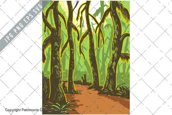 Hoh Rainforest Olympic National Park Embroidery Review